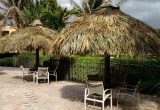 Gilligan's Tiki Huts Toll Free 866-858-Tiki (8454) – Youtube regarding Gilligan's Tiki Huts